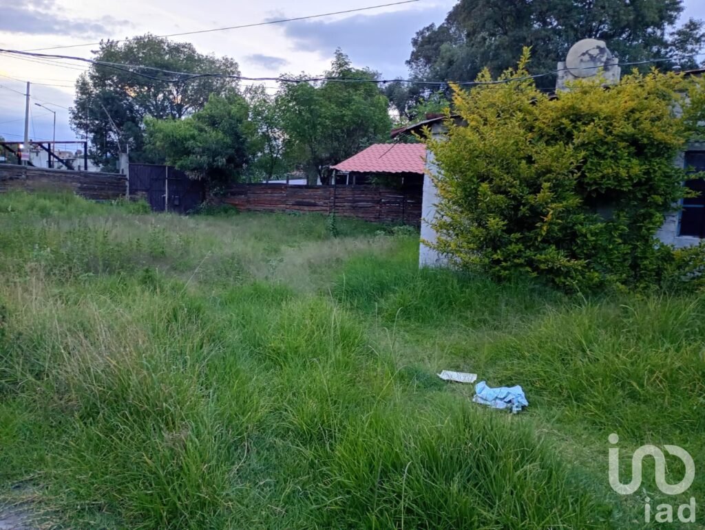 TERRENO EN RENTA SAN MARTIN TEXMELUCAN PUEBLA