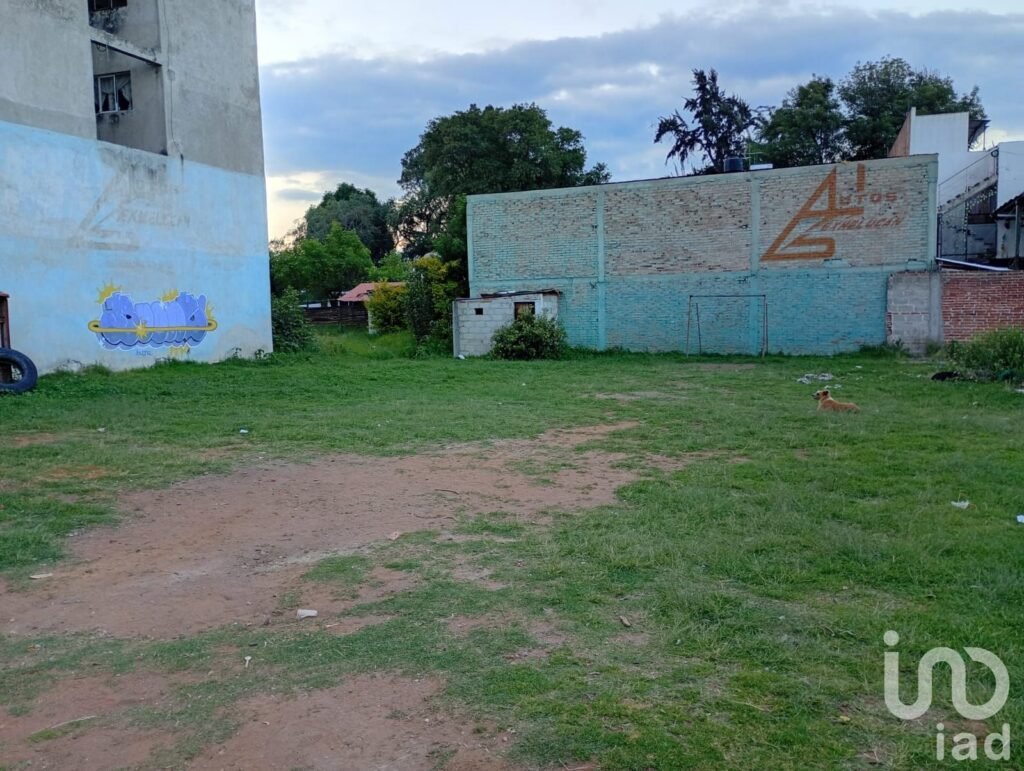 TERRENO EN RENTA SAN MARTIN TEXMELUCAN PUEBLA