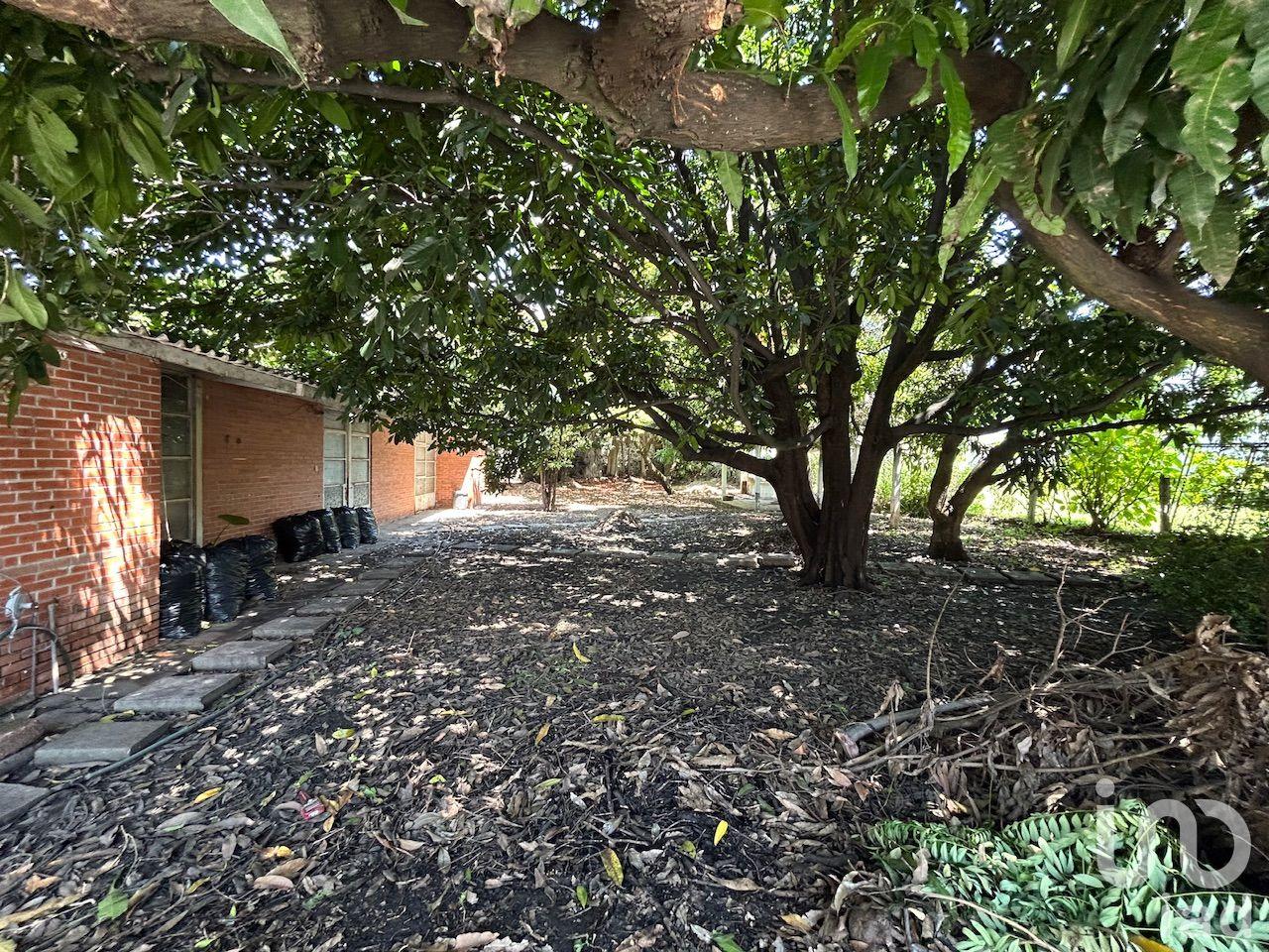 Terreno en venta totalmente plano en fraccionamiento Temixco