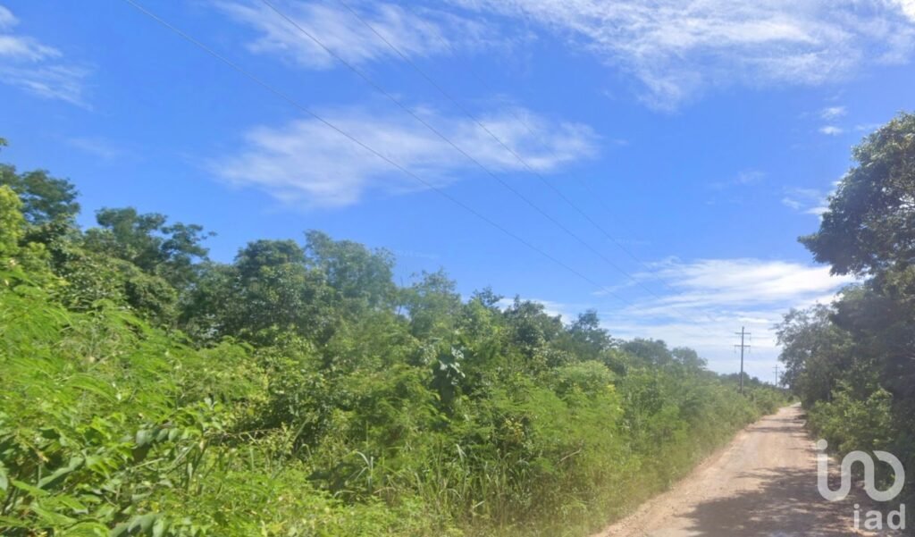 TERRENO EN VENTA CERCA DE PLAYA DEL CARMEN