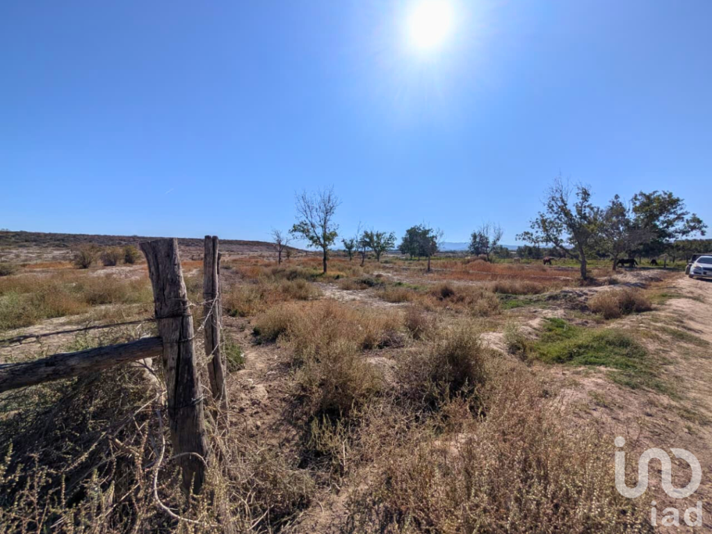 Terreno rustico en venta Parras Coahuila