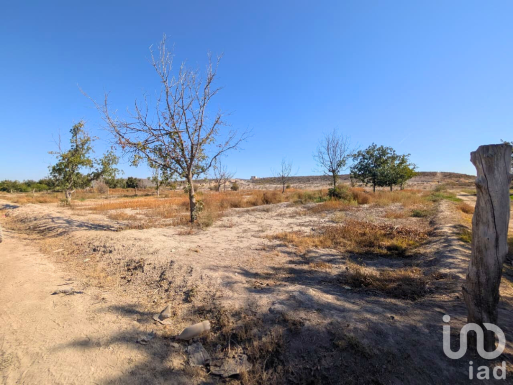 Terreno rustico en venta Parras Coahuila