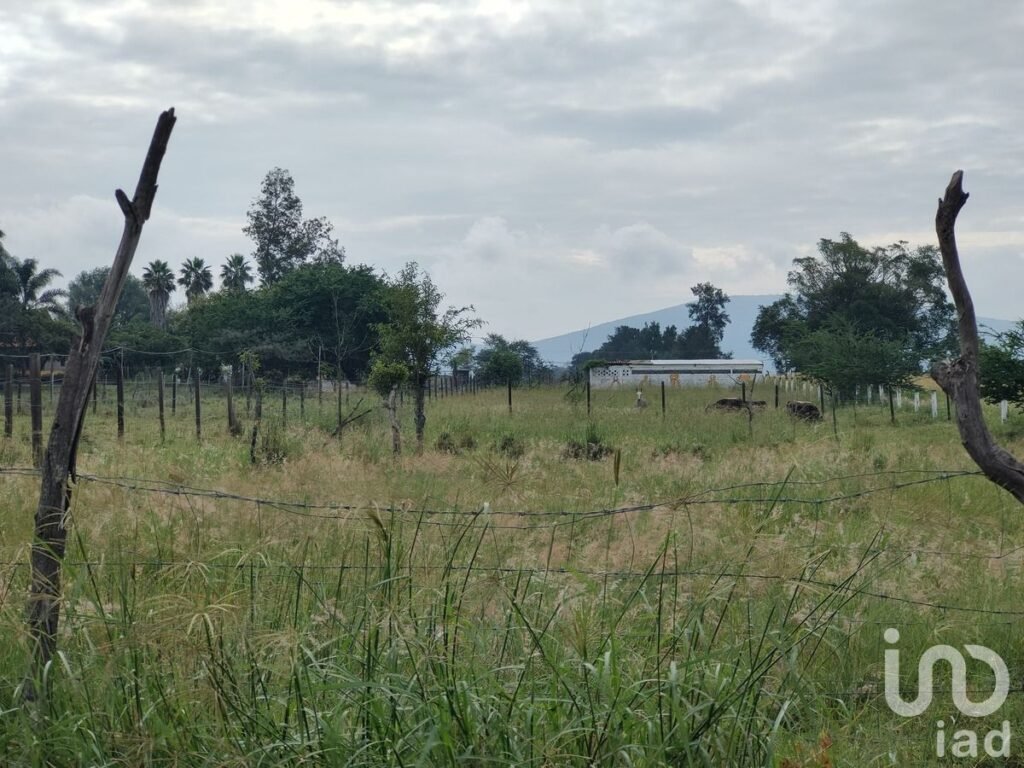 Venta de terreno en Granjas de San Isidro, Tala Jalisco