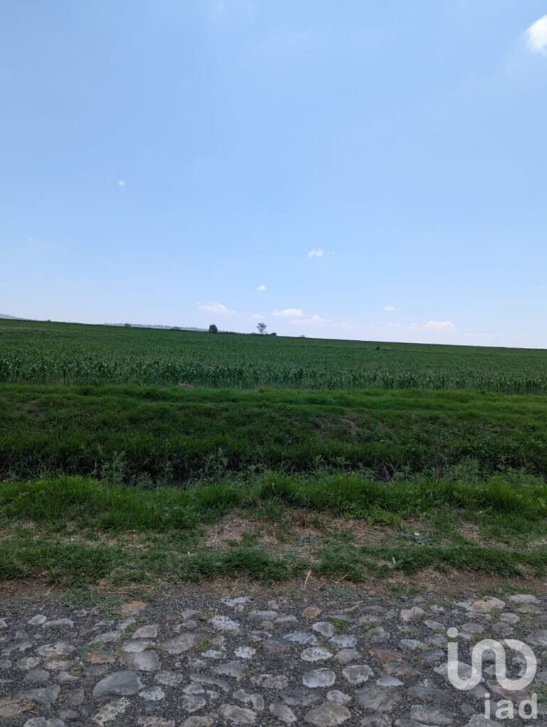 Terreno de 4 Hectarias en Los Arboles Queretaro