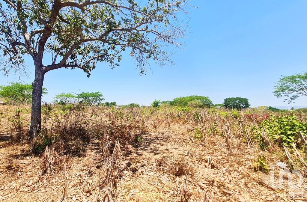 TERRENO EN VENTA, IDEAL PARA INVERSIONISTA, PUERTO ESCONDIDO