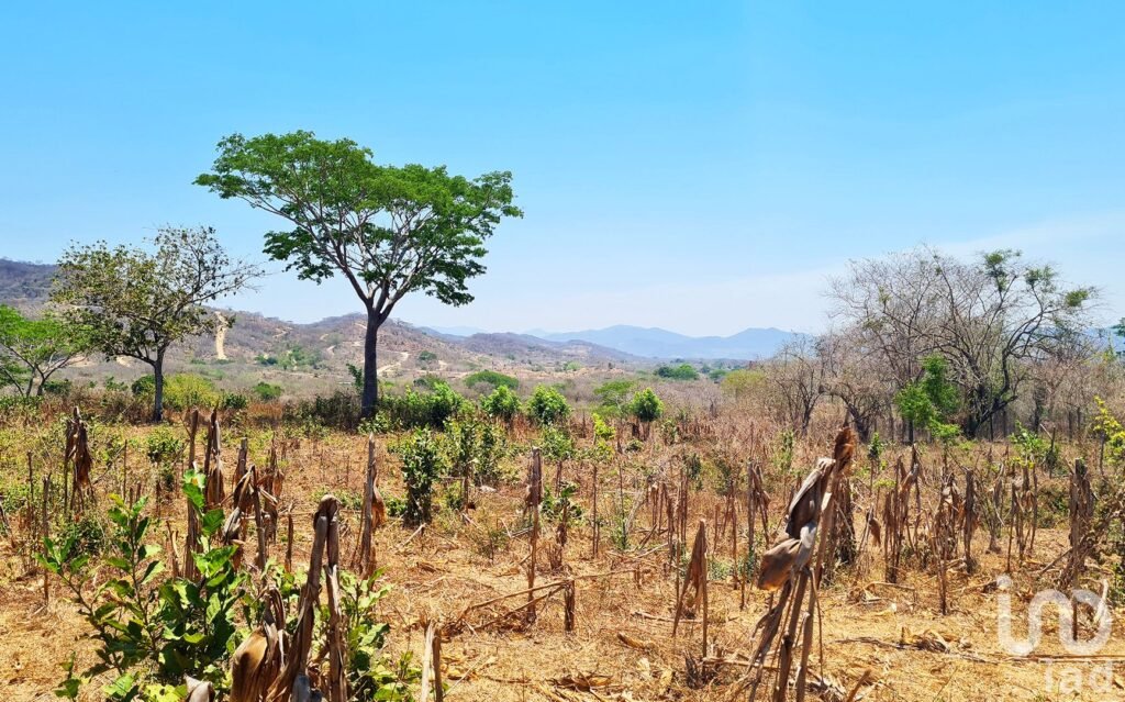 TERRENO EN VENTA, IDEAL PARA INVERSIONISTA, PUERTO ESCONDIDO