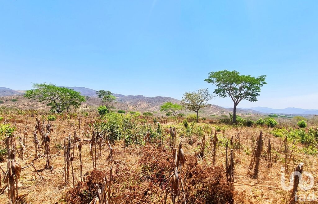 TERRENO EN VENTA, IDEAL PARA INVERSIONISTA, PUERTO ESCONDIDO