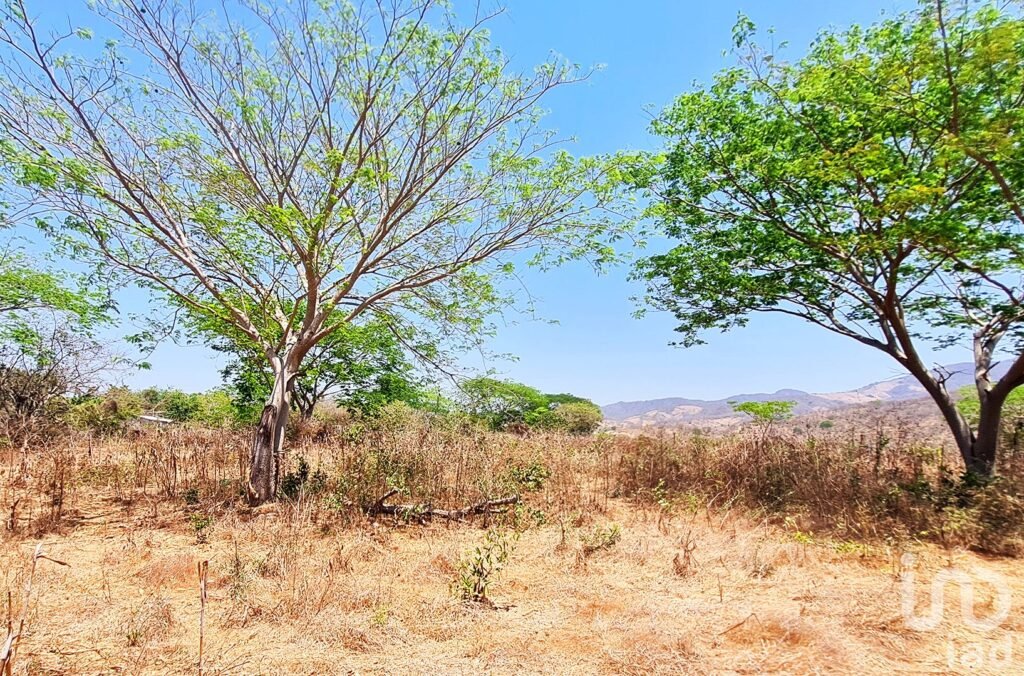 TERRENO EN VENTA, IDEAL PARA INVERSIONISTA, PUERTO ESCONDIDO