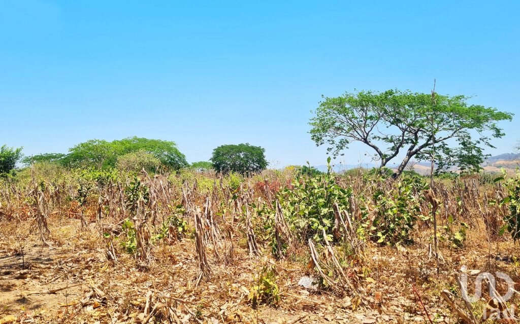 TERRENO EN VENTA, IDEAL PARA INVERSIONISTA, PUERTO ESCONDIDO