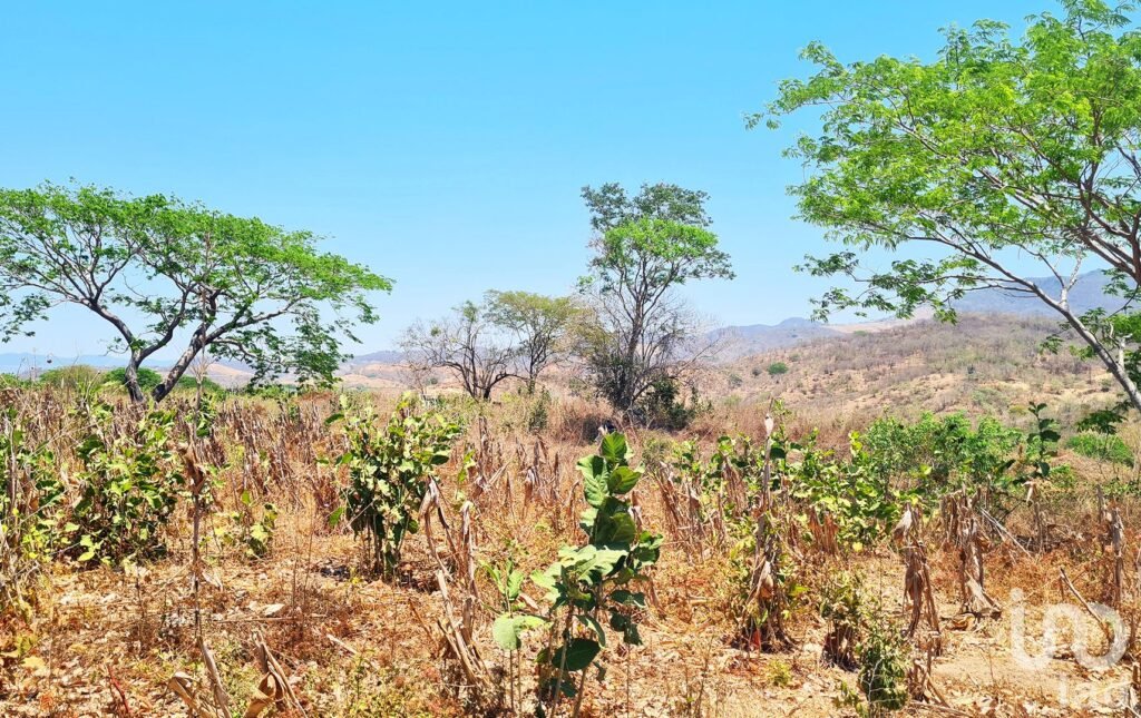 TERRENO EN VENTA, IDEAL PARA INVERSIONISTA, PUERTO ESCONDIDO