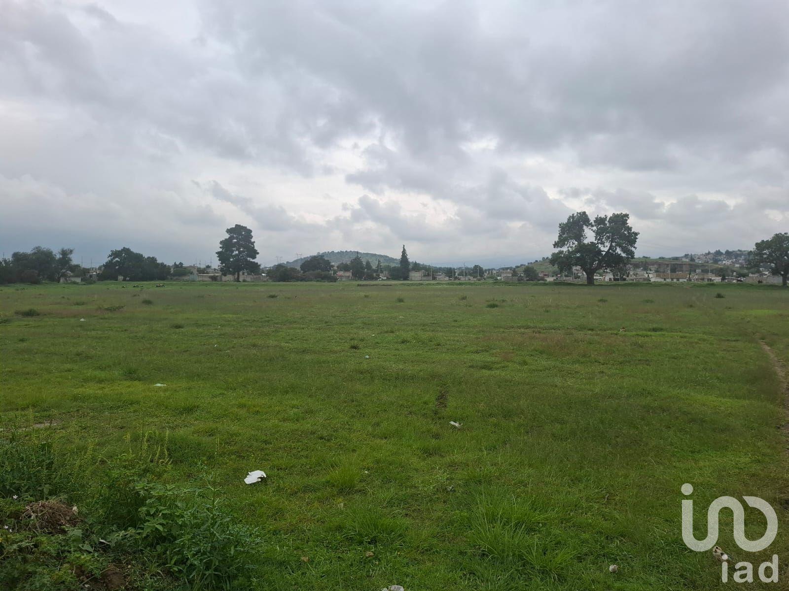 VENTA DE TERRENO EN AMOZOC