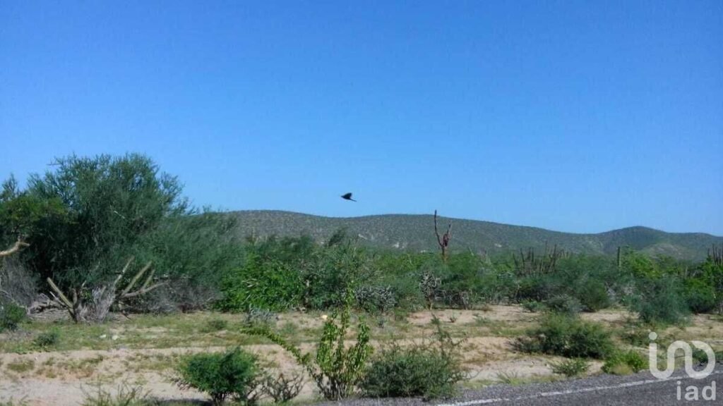 TERRENO EN MELITON ALBAÑEZ