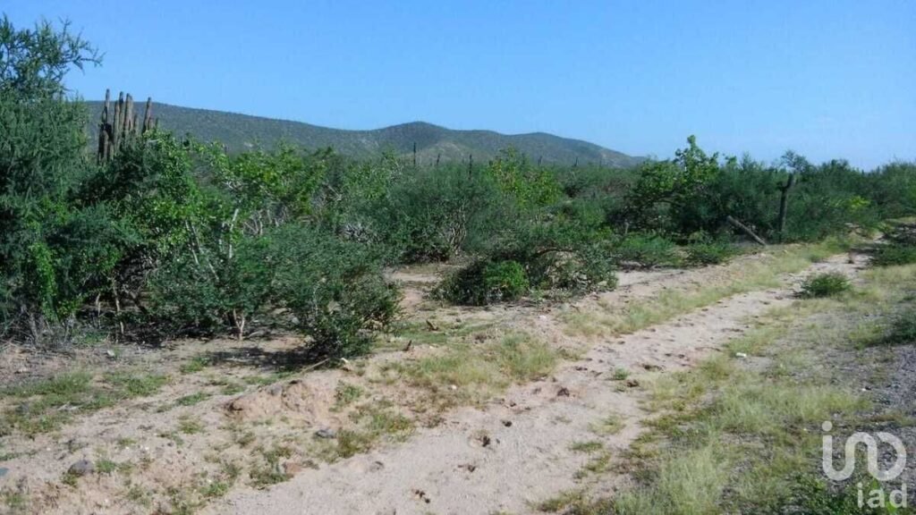 TERRENO EN MELITON ALBAÑEZ