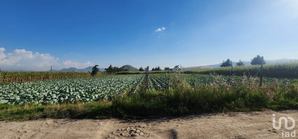 VENTA DE TERRENO EN SAN GREGORIO CUAUTZINGO, CHALCO EDO DE MÉXICO
