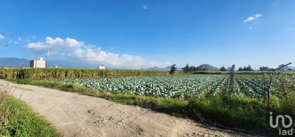 VENTA DE TERRENO EN SAN GREGORIO CUAUTZINGO, CHALCO EDO DE MÉXICO