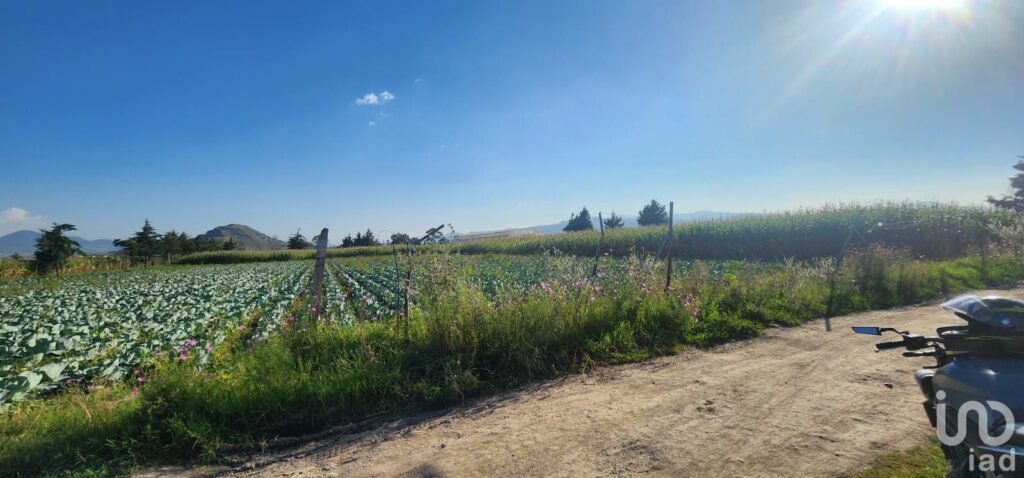 VENTA DE TERRENO EN SAN GREGORIO CUAUTZINGO, CHALCO EDO DE MÉXICO