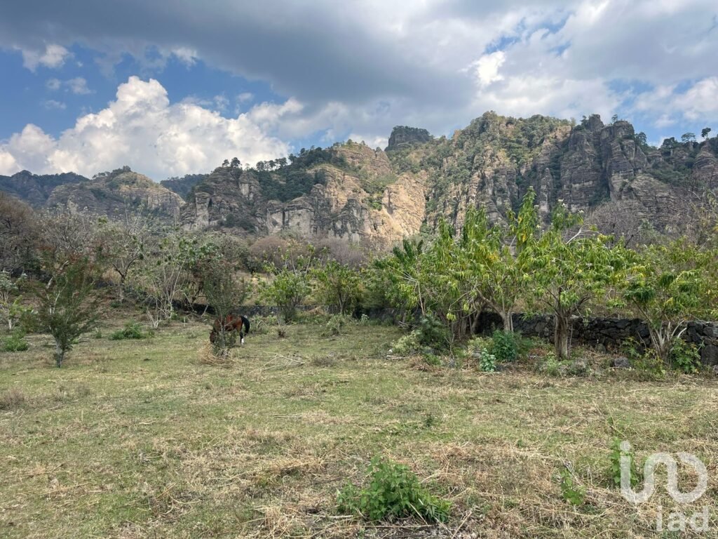 Terreno en VENTA con vistas impresionantes a las montañas de Tepoztlán.