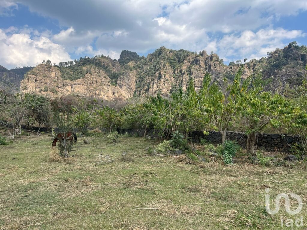 Terreno en VENTA con vistas impresionantes a las montañas de Tepoztlán.