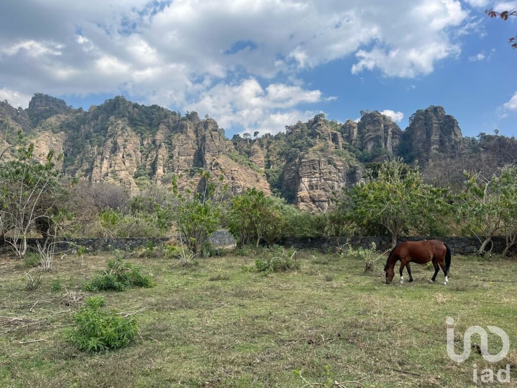 Terreno en VENTA con vistas impresionantes a las montañas de Tepoztlán.