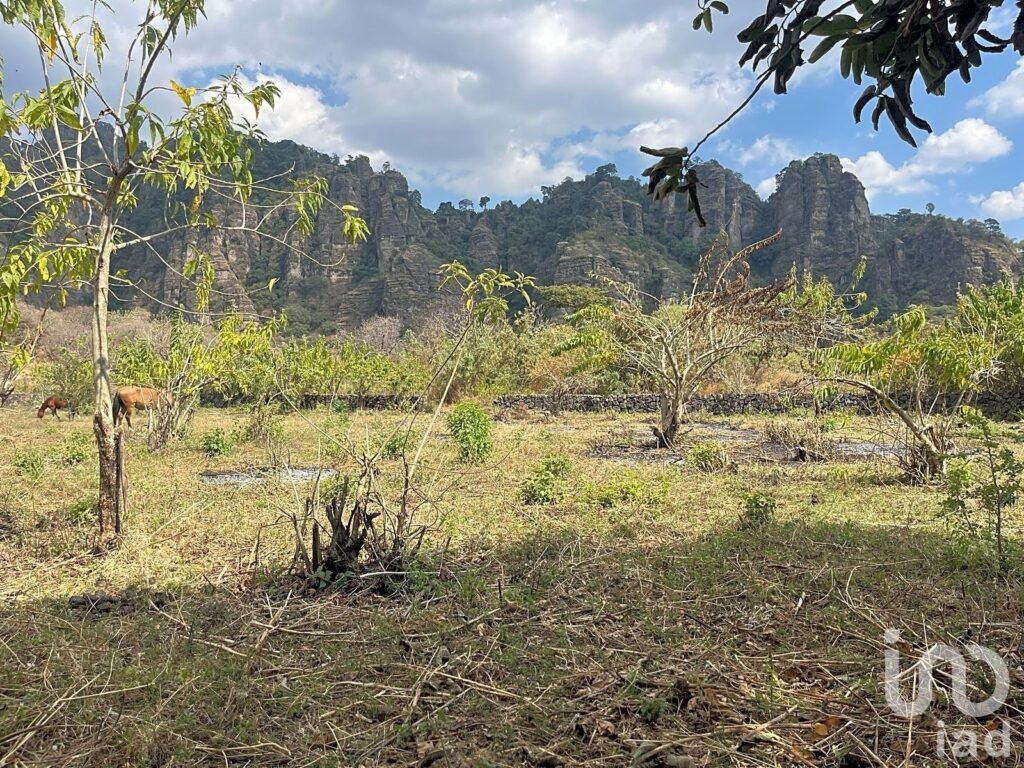 Terreno en VENTA con vistas impresionantes a las montañas de Tepoztlán.