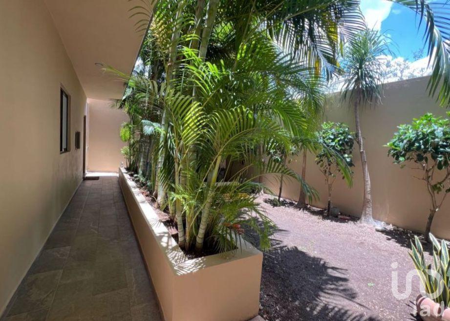 Departamento Dos Recámaras  en Cholul Planta Baja