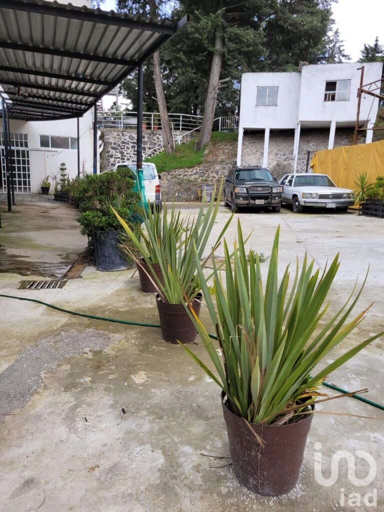 Local Comercial en Renta a 10 minutos de Santa Fe en Cuajimalpa, CDMX