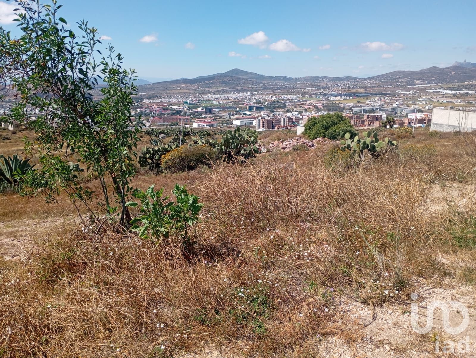 Parcela en ejido de Tilcualutla Parcela en ejido de Tilcualutla