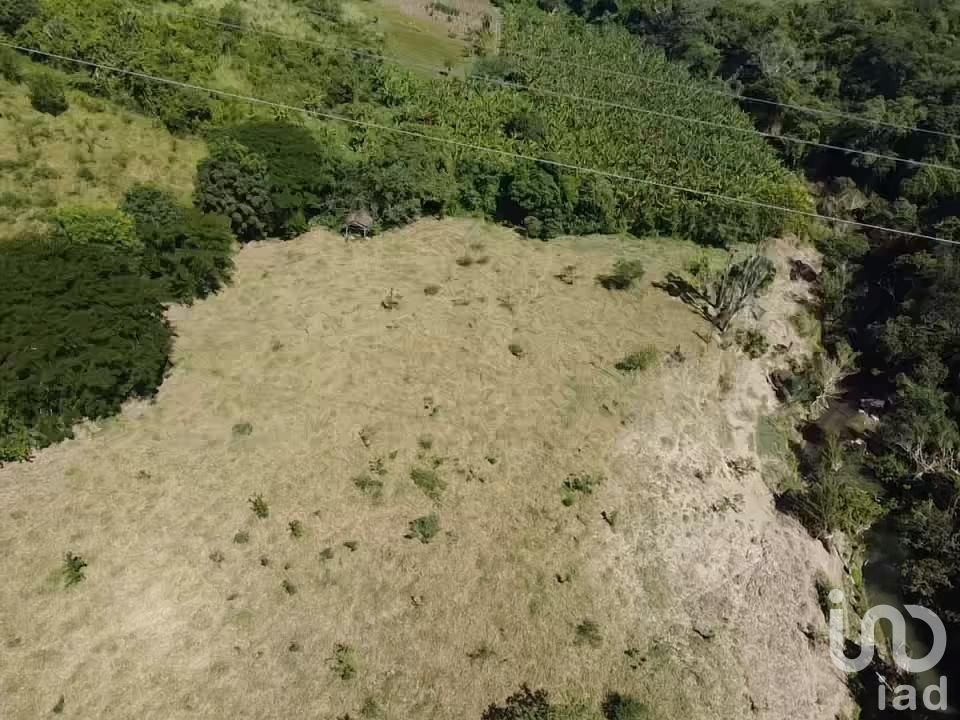 Terreno para Engorda de Ganado 8 Ha en Castillo de Teayo, Veracruz