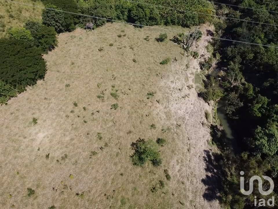 Terreno para Engorda de Ganado 8 Ha en Castillo de Teayo, Veracruz