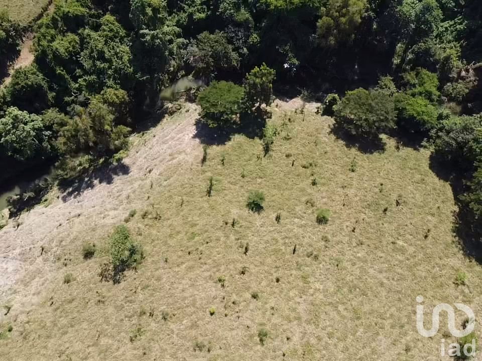 Terreno para Engorda de Ganado 8 Ha en Castillo de Teayo, Veracruz