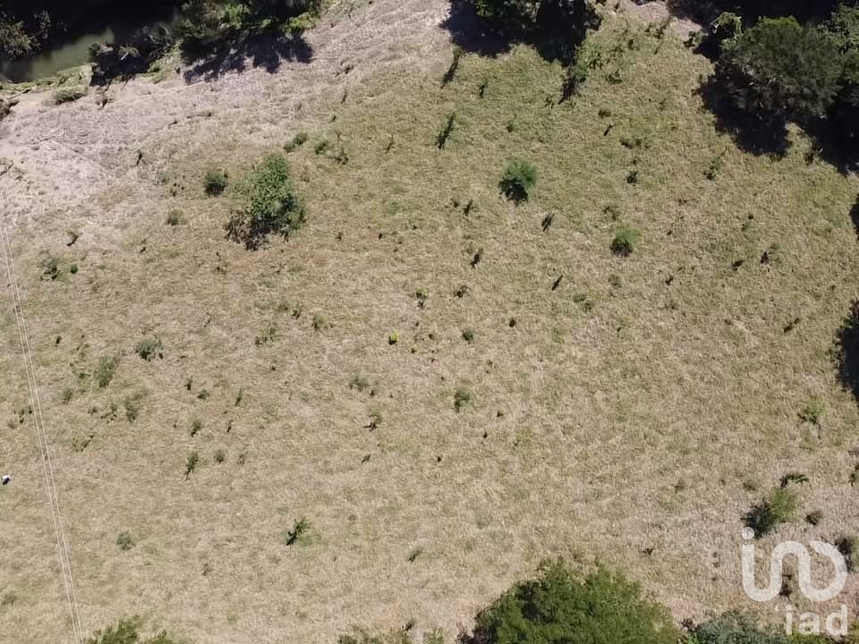 Terreno para Engorda de Ganado 8 Ha en Castillo de Teayo, Veracruz