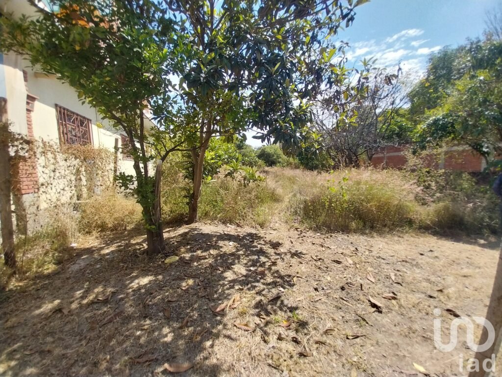 TERRENO EN VENTA EN EJUTLA DE CRESPO, OAXACA
