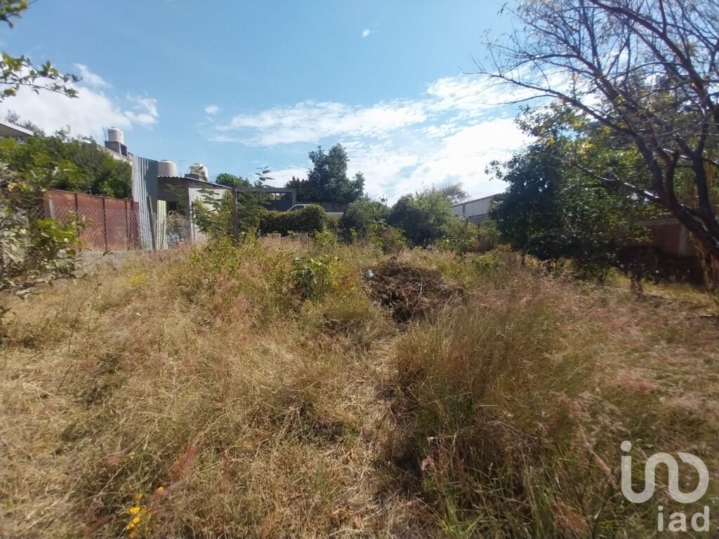 TERRENO EN VENTA EN EJUTLA DE CRESPO, OAXACA