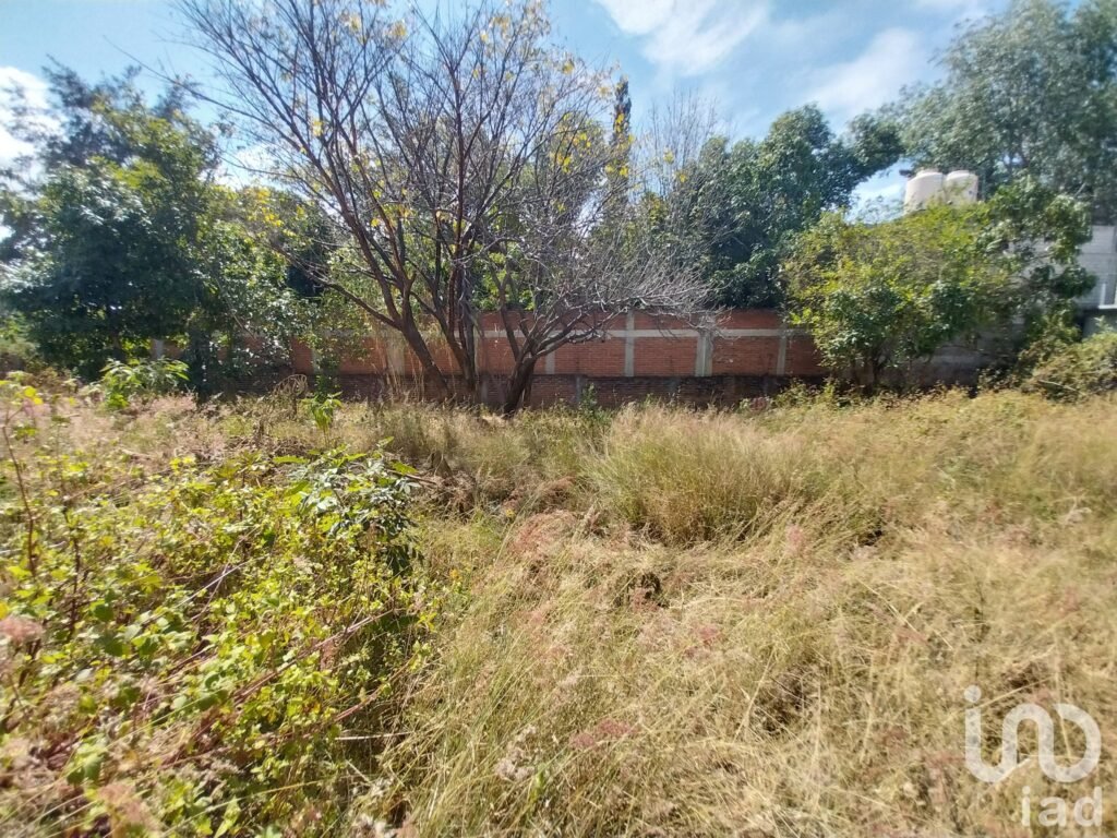 TERRENO EN VENTA EN EJUTLA DE CRESPO, OAXACA