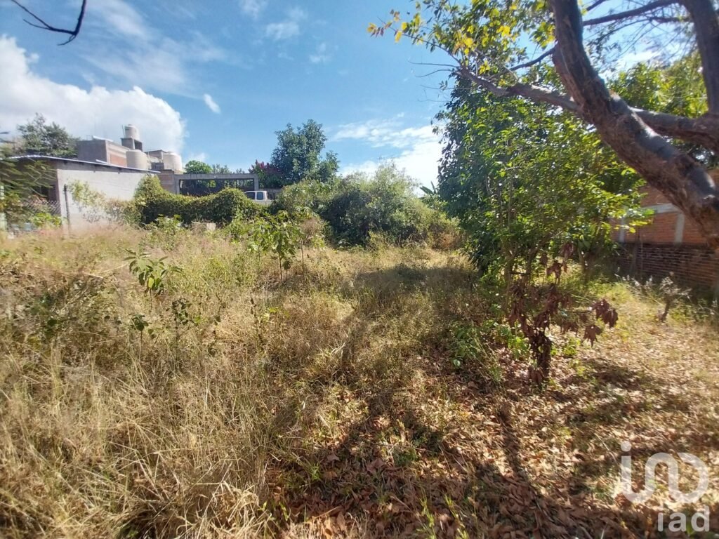 TERRENO EN VENTA EN EJUTLA DE CRESPO, OAXACA
