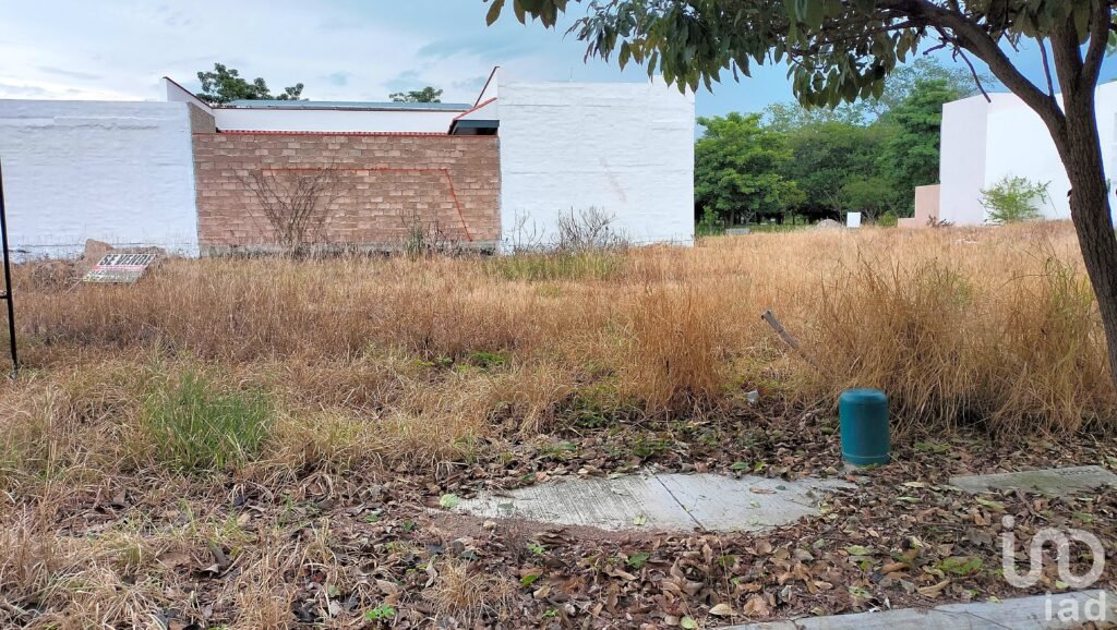 Terreno en Venta 12.50 x 25 en Vista Hermosa Santa Gertrudis