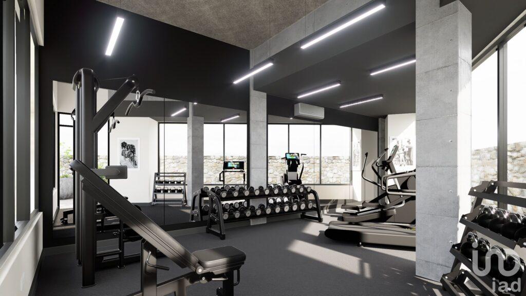 Departamentos en renta Hyde Park