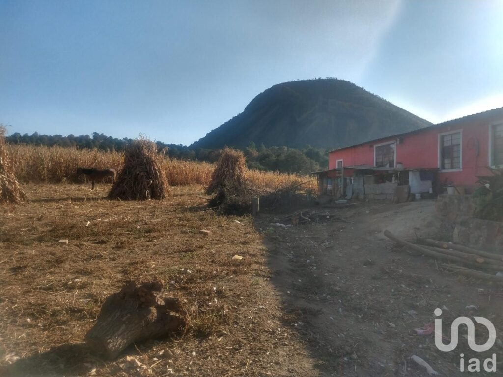 TERRENO EN VENTA TLALMANALCO EDO DE MEX