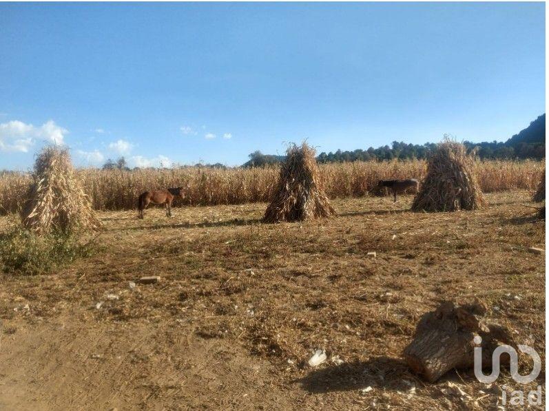 TERRENO EN VENTA TLALMANALCO EDO DE MEX