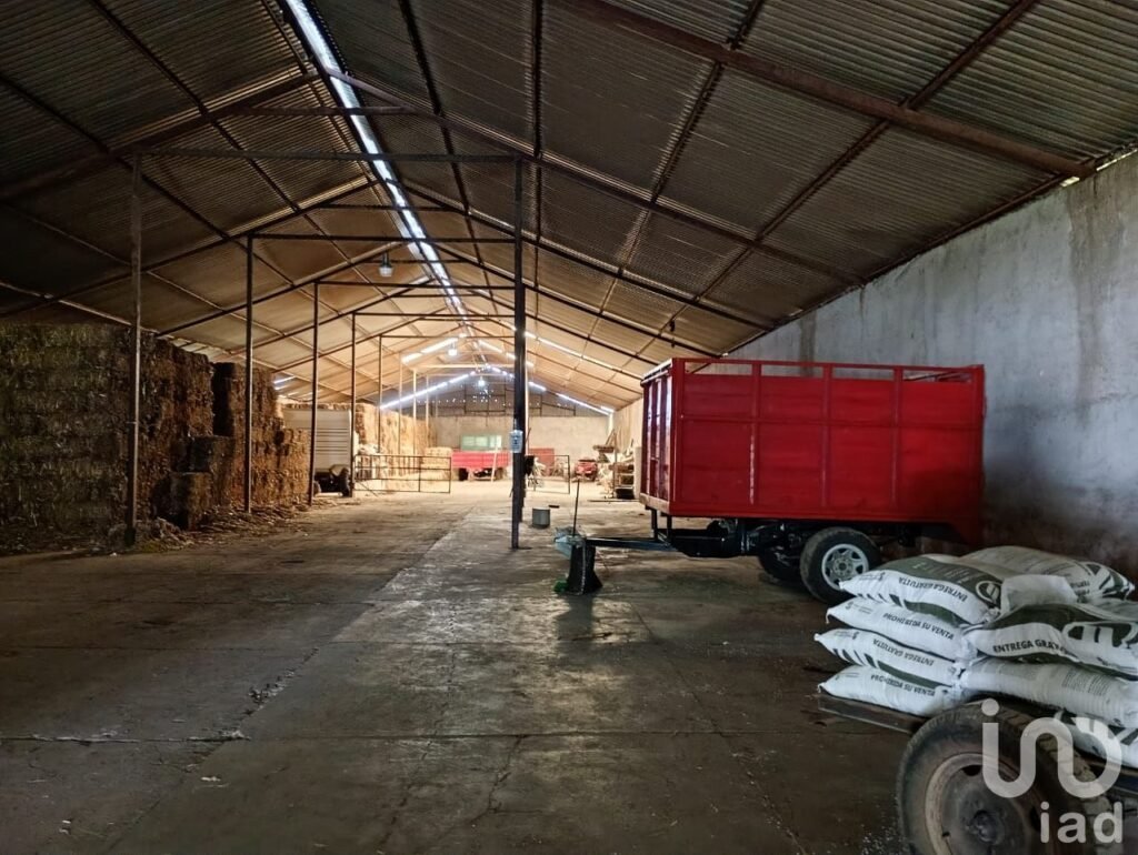 Bodega en Renta en San Felipe Ixtacuixtla Tlaxcala Mex.