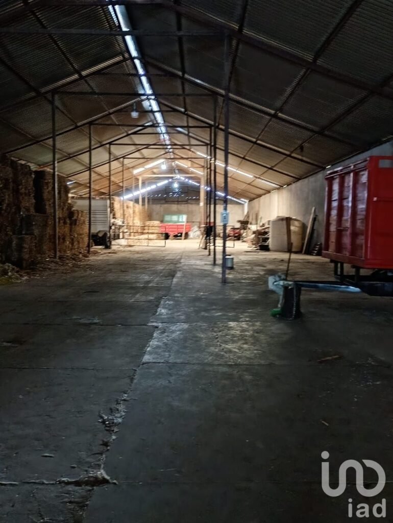 Bodega en Renta en San Felipe Ixtacuixtla Tlaxcala Mex.