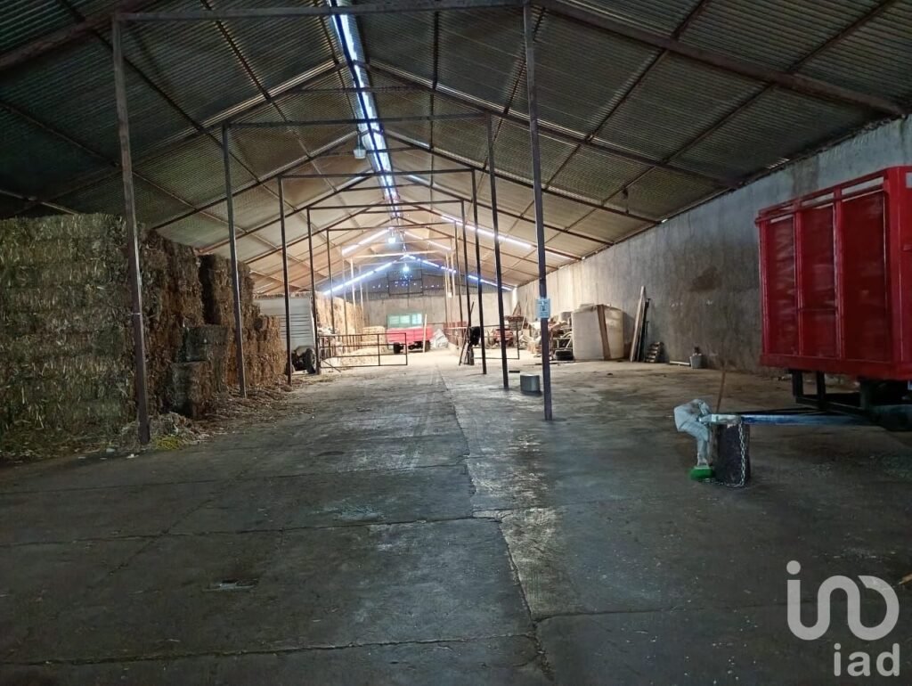 Bodega en Renta en San Felipe Ixtacuixtla Tlaxcala Mex.