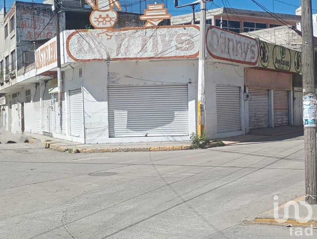 Local en Renta San Martin Texmelucan Puebla Mexico