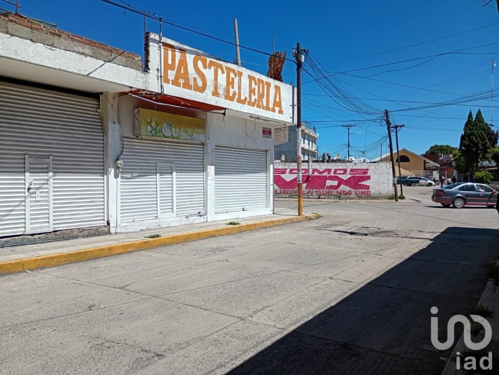 Local en Renta San Martin Texmelucan Puebla Mexico