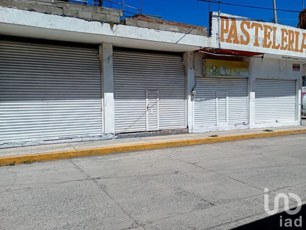 Local en Renta San Martin Texmelucan Puebla Mexico