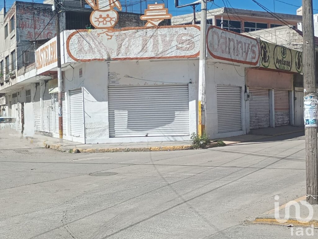 Local en Renta San Martin Texmelucan Puebla Mexico