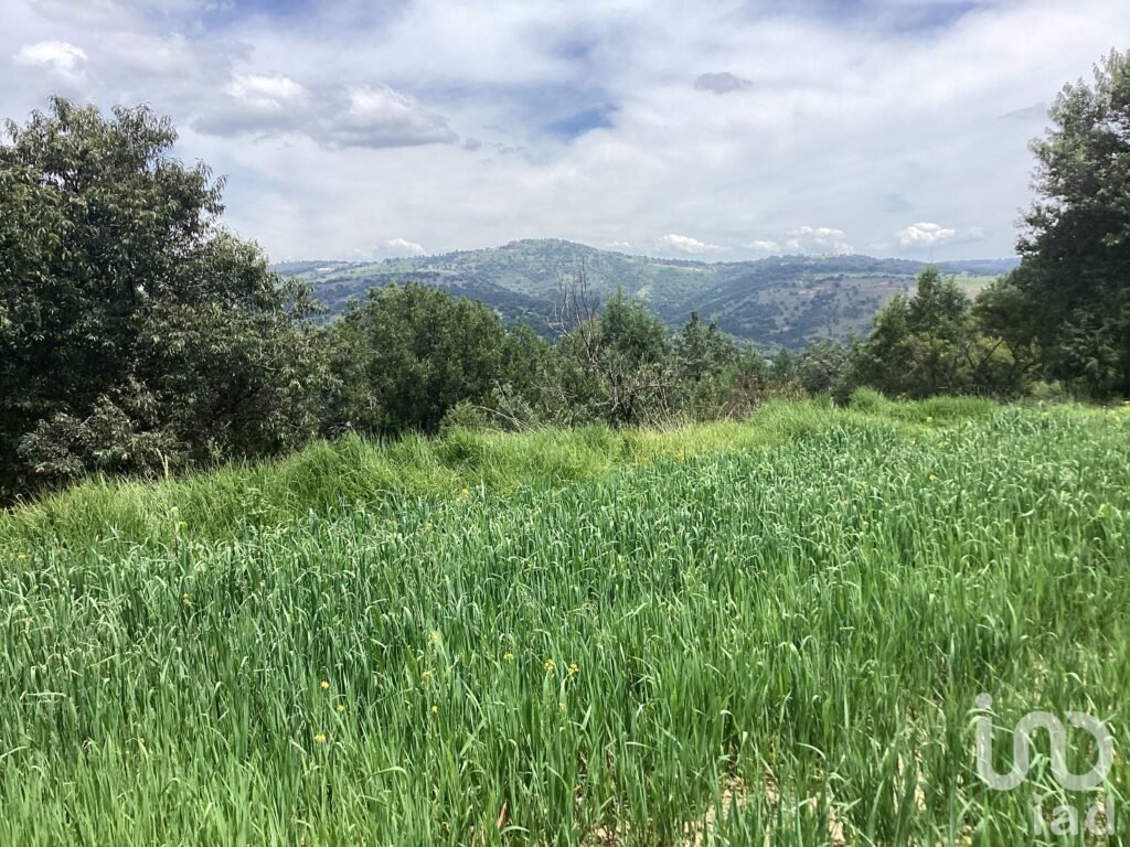 Terreno en Venta  San Felipe Ixtacuixtla Tlaxcala Mexico