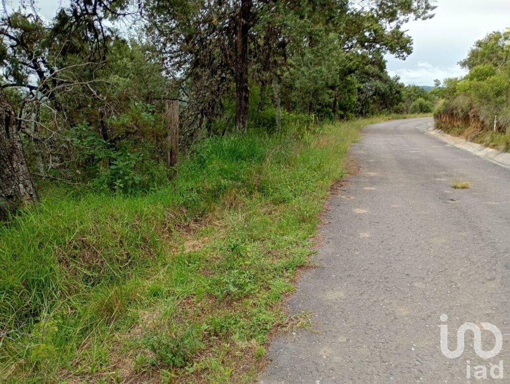 Terreno en Venta  San Felipe Ixtacuixtla Tlaxcala Mexico