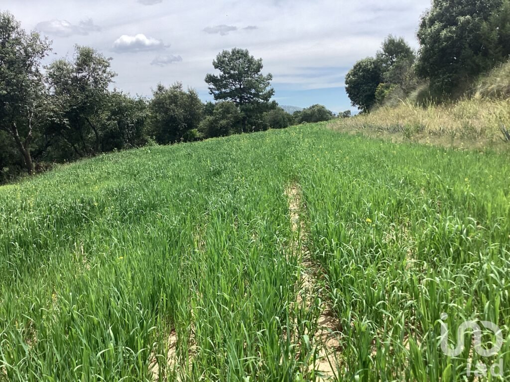 Terreno en Venta  San Felipe Ixtacuixtla Tlaxcala Mexico