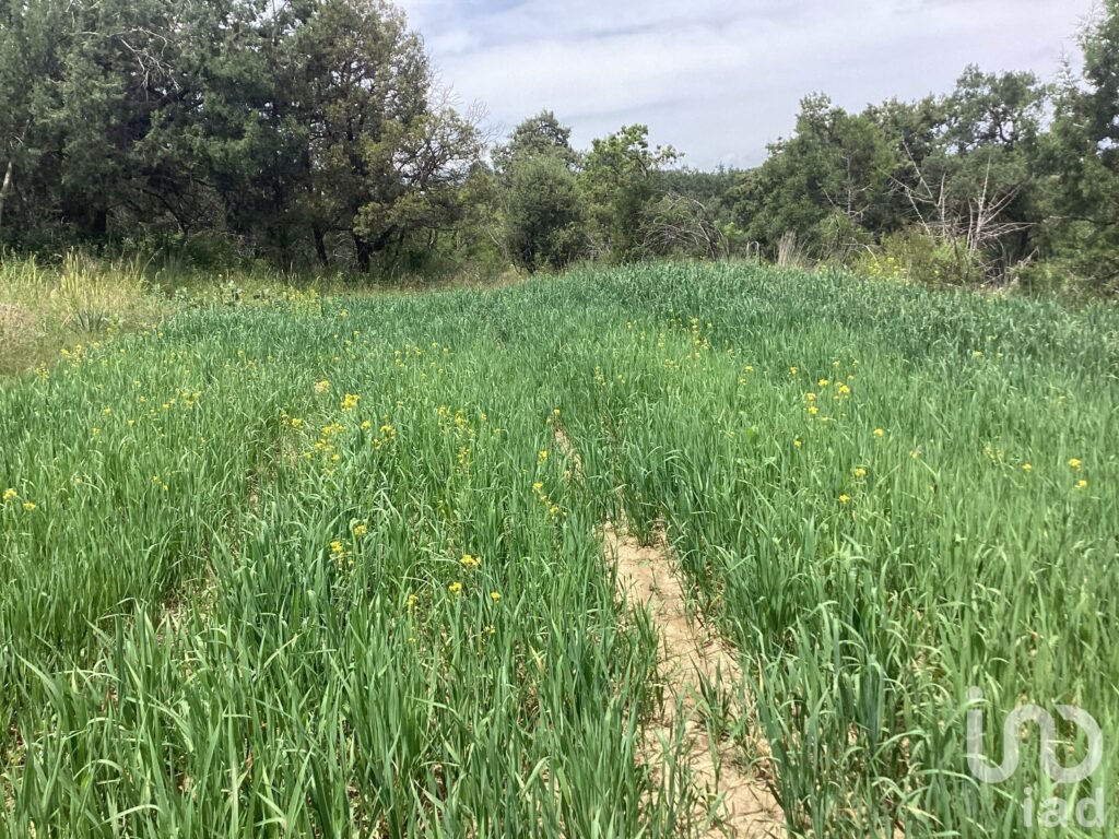 Terreno en Venta  San Felipe Ixtacuixtla Tlaxcala Mexico